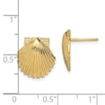 thumbnail image 3 of 14k Yellow Gold 2-D Polished Scallop Shell Post Earrings, 3 of 7