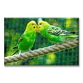 thumbnail image 1 of Cuadro Pixtreats listo para Colgar tipo galería Pericos Australianos 40X60 cm, 1 of 4