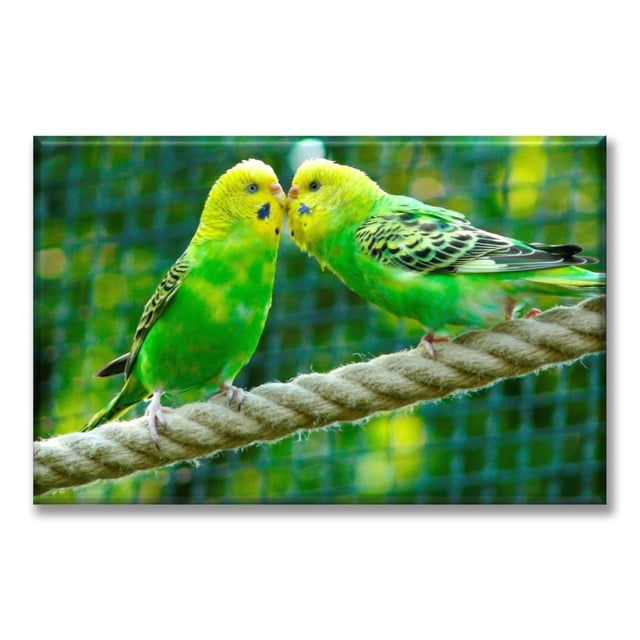 Cuadro Pixtreats listo para Colgar tipo galería Pericos Australianos 40X60 cm