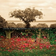 Dave Douglas - Be Still - Music & Performance - Vinyl