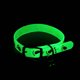 thumbnail image 2 of Collar luminoso para gato y perro pequeño, accesorio fluorescente antipérdida, campana de silicona, Anillo para el cuello, accesorios para mascotas, 2 of 4