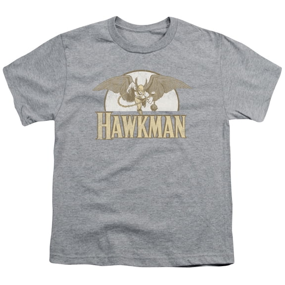DC Comics Men's  Fly By T-shirt Gray