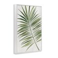 thumbnail image 3 of Stupell Industries Lush Tropical Breeze White Framed Giclee Art design by Hannah Dawson, 24 x 16, 3 of 8