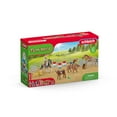 thumbnail image 5 of Schleich Rodeo Show - 42PC Western Riding Playset with Cowboy, Cowgirl, Horses and Calf - Barrel Racing and Rodeo Toys for Kids 5+ - 42577, 5 of 5