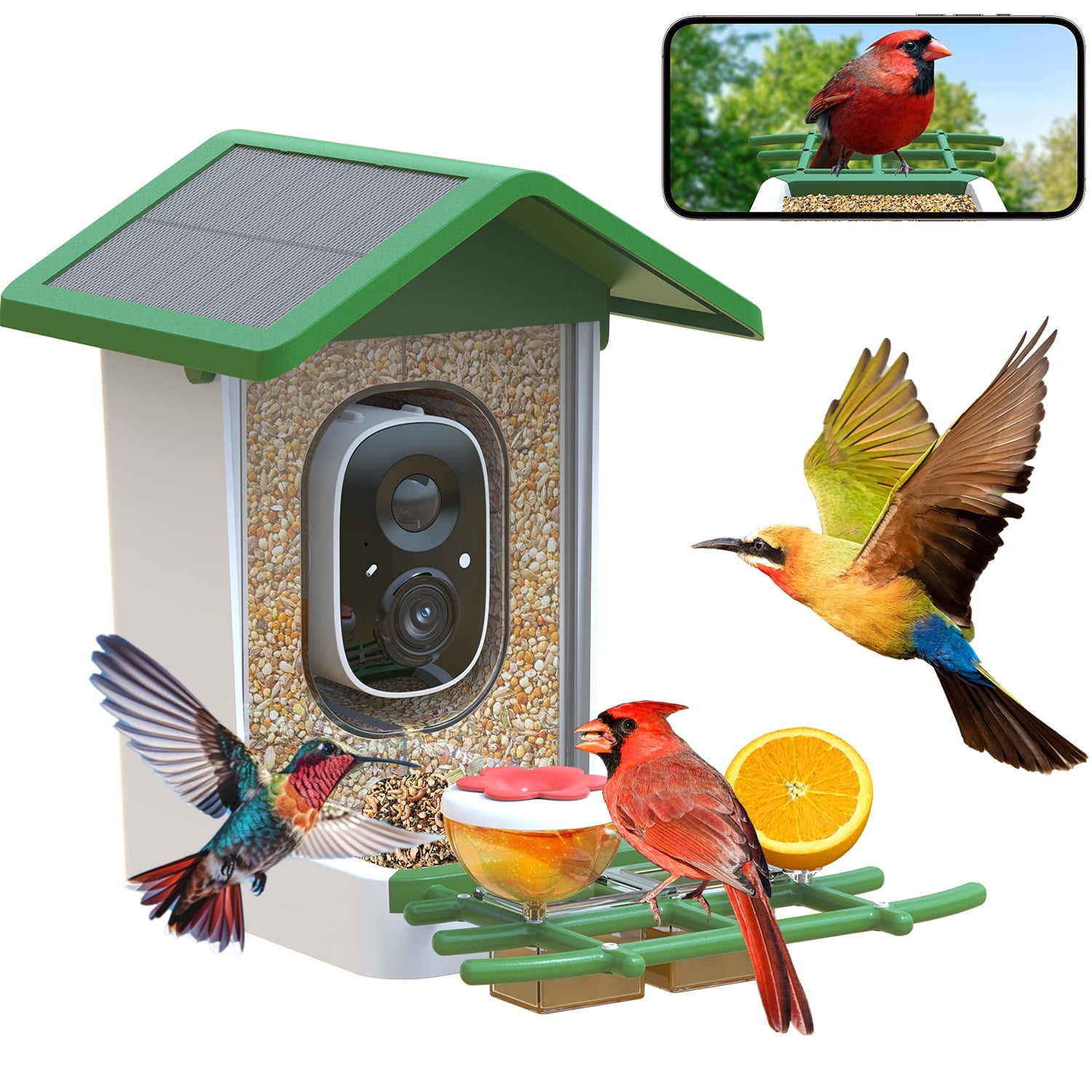 Smart Bird Feeder with Camera, Solar Powered Birdhouse Camera with AI Bird Recognition, Outdoor Wireless WiFi Bird Feeder with Live Video, Fun Gift for Mom, Grandma, Daughter
