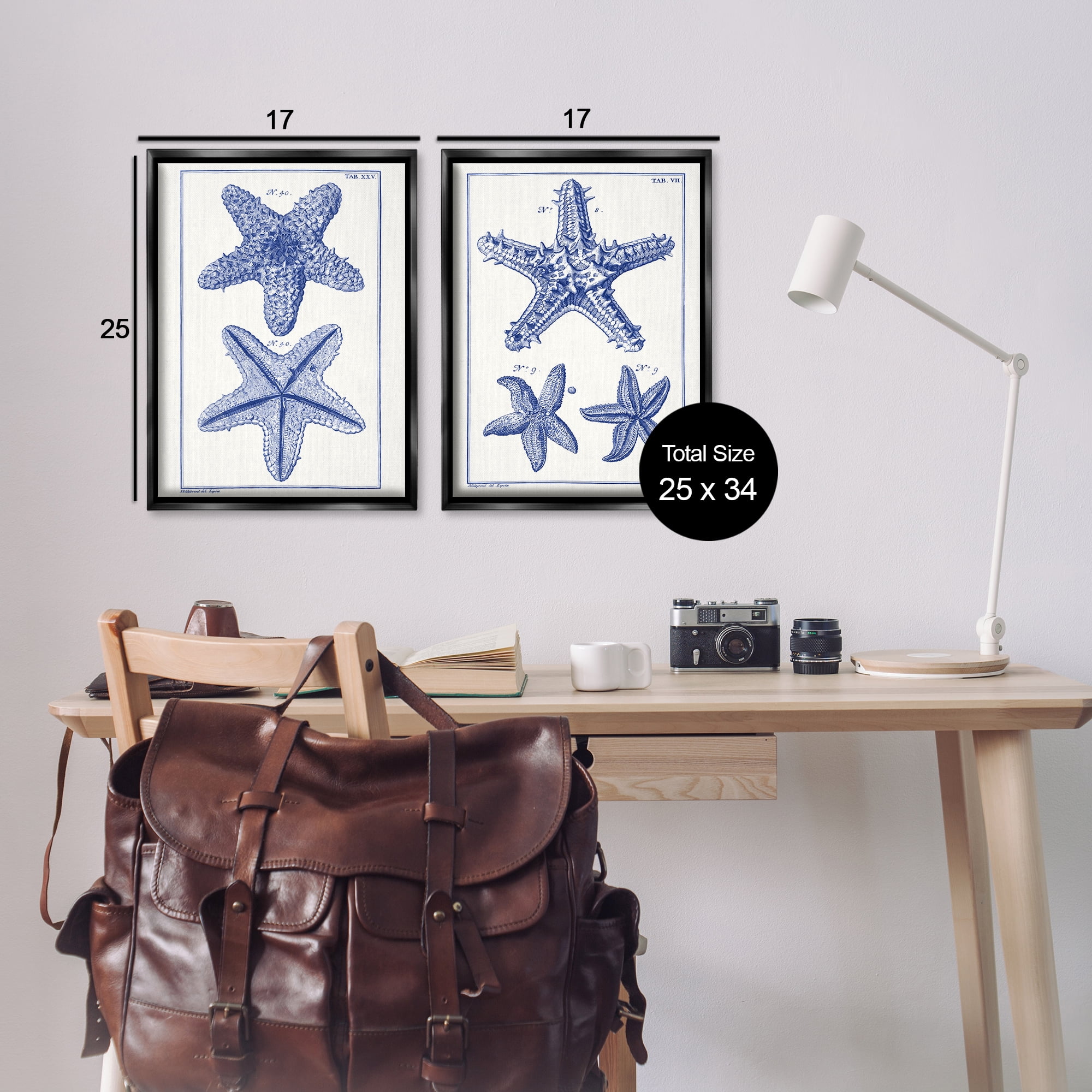 Stupell Industries Diagram of a Starfish Nautical & Beach Painting Black Floater Framed Canvas Art Print Wall Art, 17 x 25, Set of 2