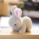 thumbnail image 4 of Precioso muñeco de peluche de conejo y oso, conejo, llavero, colgante de bolsa, juguetes de peluche, regalo de cumpleaños para bebés y niños, conejo de juguete, anillo, 4 of 5
