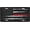 Cay2, variant on Gift Decorative License Plate, Auto Plate Cover, Aluminum, 4-Hole, 6 x 12 Inch