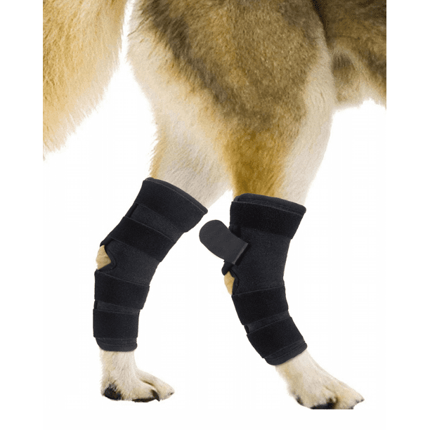 Lexvss Dog Leg brace Protects Wound as They Heal, Pair of acl Hock