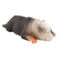 thumbnail image 3 of Modelo de mascota plástico realista vida silvestre animal niños niño figura juguete decoración del hogar regalo, 873 Inevent FN000219-03, 3 of 7