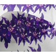 thumbnail image 4 of oneOone Viscose Chiffon Fabric Flower Artistic Print Fabric BTY 42 Inch Wide, 4 of 4