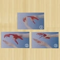 thumbnail image 3 of Alicates para pelar gambas Advancent 1 unidad Cocina y Comedor PC 1, 3 of 6