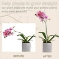 thumbnail image 3 of Estacas para Plantas, Palitos para Plantas, 20 Piezas de Estacas Acrílicas Transparentes de Soporte para Plantas, Estacas de Tallo Único de Jardín de 16 Pulgadas para Interiores, 3 of 5