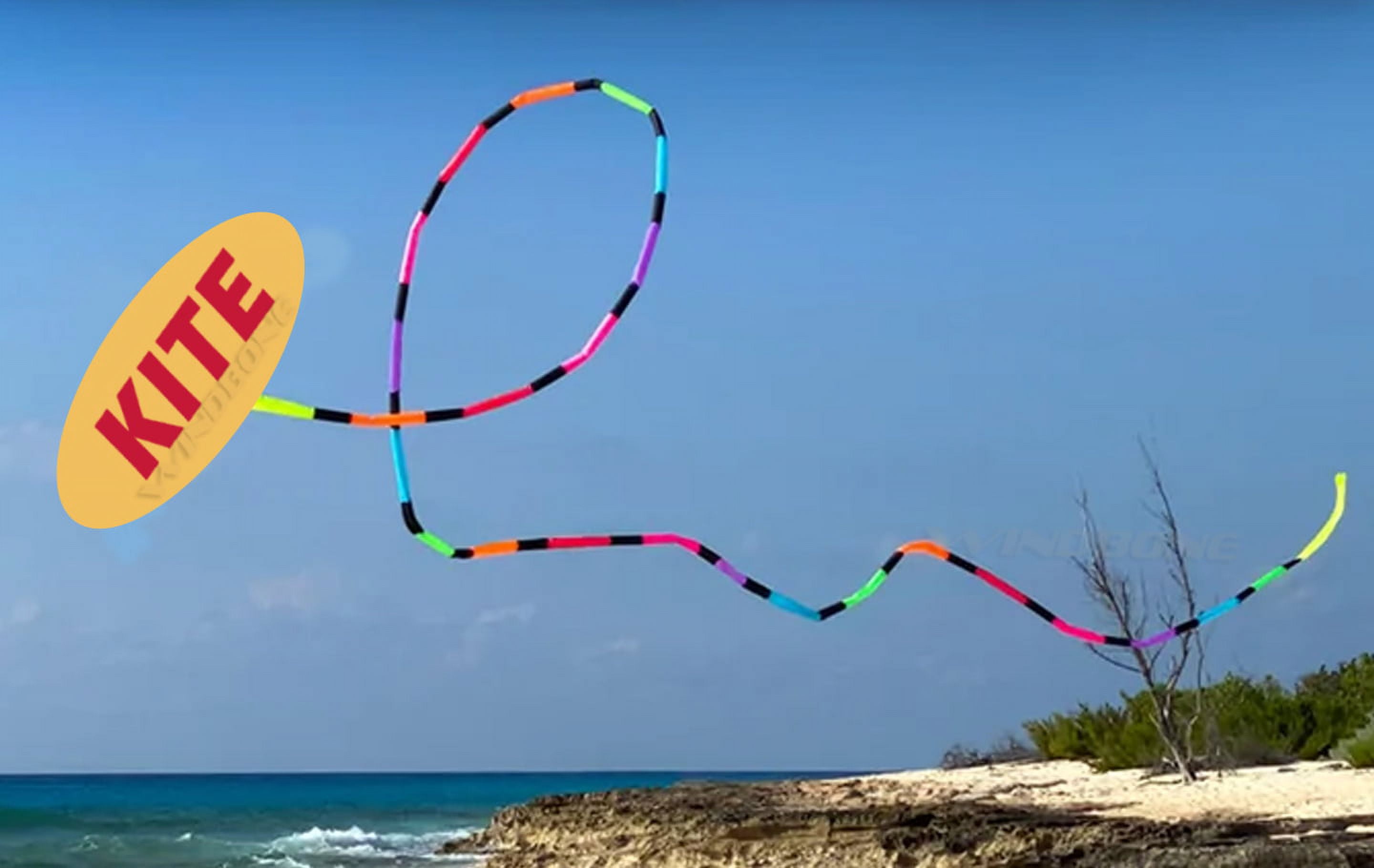 Prism Synapse 140 Foil Kite Bundle with Rainbow 20ft Tube Tail Accessory plus WBK Decals & Key Fob