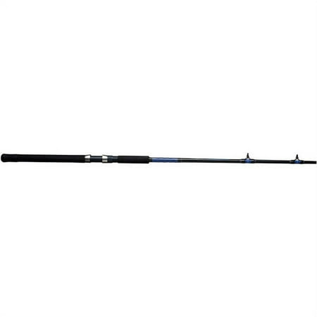 Shakespeare Tidewater 12 Spinning Rod 2-Piece Fishing Rod
