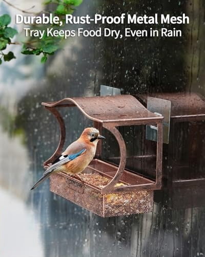 Window Bird Feeder, Metal - with Strong Suction Cups, Large Outdoor for Viewing Bird Watching Gift (Curved)