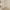 Ivory Mocha, variant on Nourison Elation Damask Ivory Grey 5'3" x 7'3" Area Rug, (5x7)