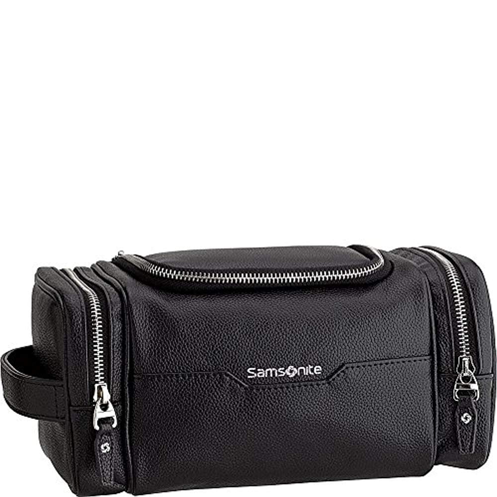 Samsonite Leather Travel Accessories Dusk UZip Travel Kit (Black)