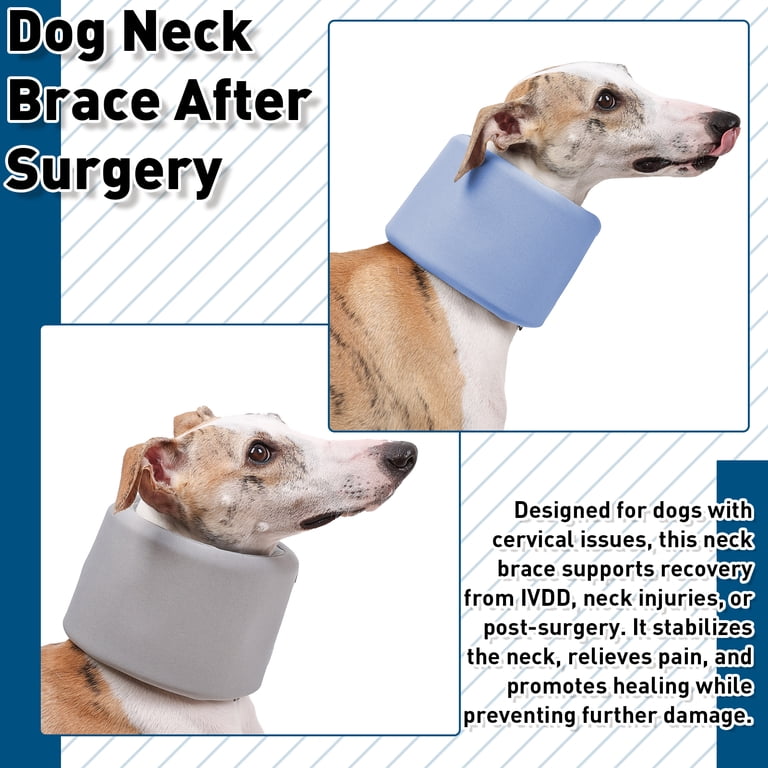Duuclume Dog Neck Brace After Surgery, E-Collar Cone Collar Alternative  for Dogs (Grey,L)