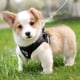 thumbnail image 2 of Dog Harness, Universal Chest Strap, Soft Vest for Puppies, Reflective, Adjustable (Small, Black), 2 of 5