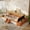 Brown+White, variant on Harper & Bright Designs Twin Size Floor Daybed with Stairs, Velvet Upholstered Daybed Frame with Lift-Up Side Storage, Low Platform Bed for with Padded Guardrails, Brown+White
