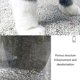 thumbnail image 3 of Cuentas de eliminación de olores para mascotas, caja de arena para gatos, eliminador de olores para cama de coche, suministros para mascotas, 3 of 5