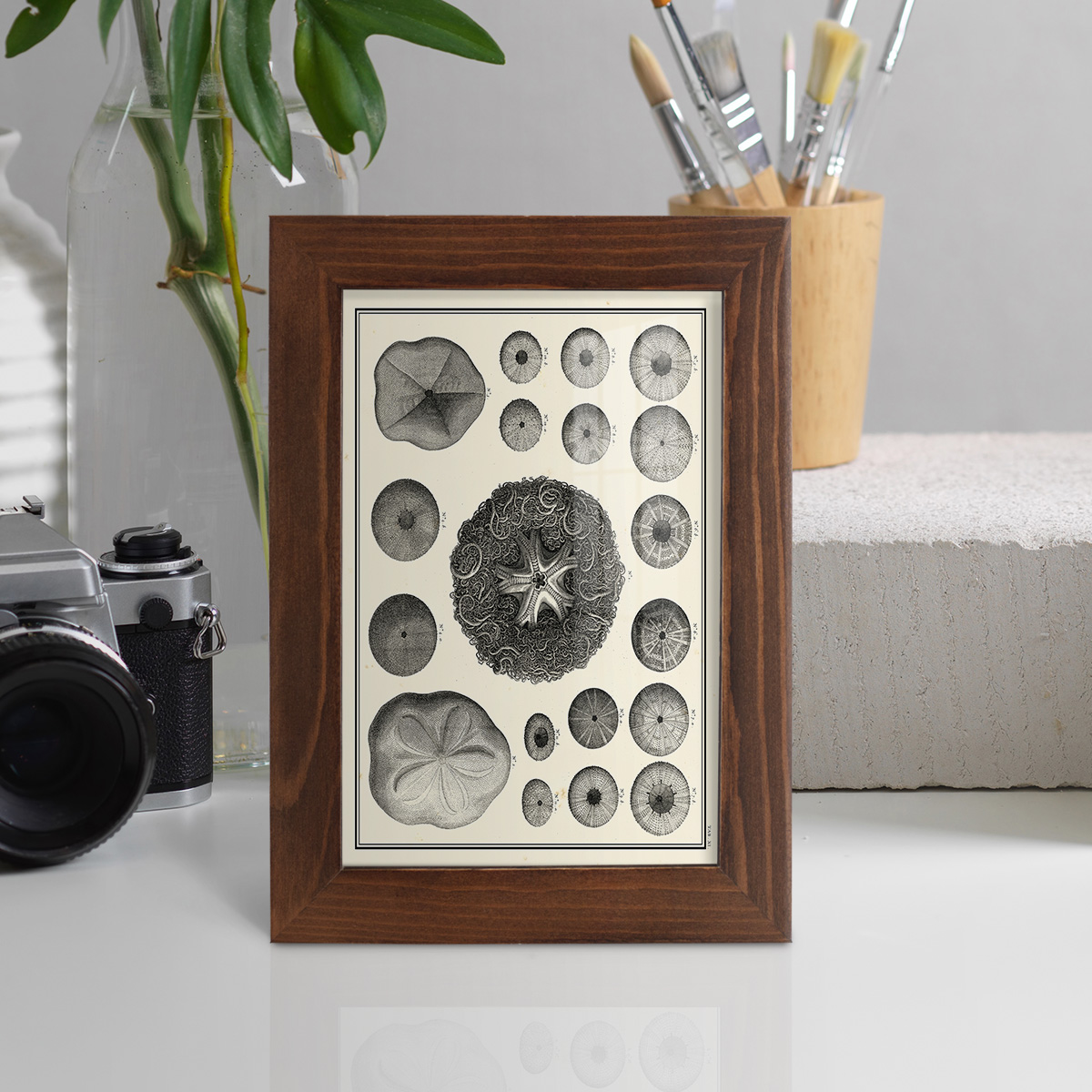 Aegean Collection I -Framed Print w/glass-Chestnut