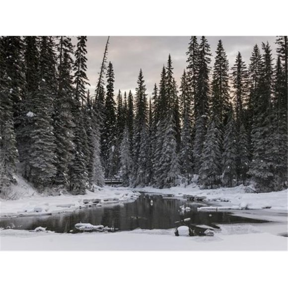 Posterazzi DPI12285008 Frozen Emerald Lake in Yoho National Park - British Columbia Canada Poster Print by Keith Levit, 18 x 13
