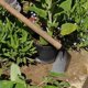 thumbnail image 4 of Azada portátil para desherbar acero de manganeso - Herramienta de jardinería multipropósito para plantar verduras y flores, martillar y quitar clavos, 4 of 5
