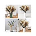 thumbnail image 4 of 50/80pcs Pampas Grass Decoration Set Including Fluffy Pampas Flowers, Reed Hay And Rabbit Tail Dried Flowers, Natural Dried Pampas Grass Bouquet, Suit, 4 of 4