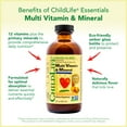 thumbnail image 5 of ChildLife Essentials Liquid Multivitamin & Mineral: Essential Nutrients for Kids, Orange & Mango Flavor, 8 Fl Oz Bottle (Pack of 1), 5 of 15