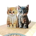 thumbnail image 3 of Kittens 3D Pop-Up Greeting Card | Handmade Pop up Card for Birthdays, Anniversaries, Thank You Notes & More | Stunning Craftsmanship White Envelope & Packaging, 3 of 7