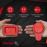 Biomagnetic Therapy Magnet Kit — Ferrite Leather (12 Mixed Units)
