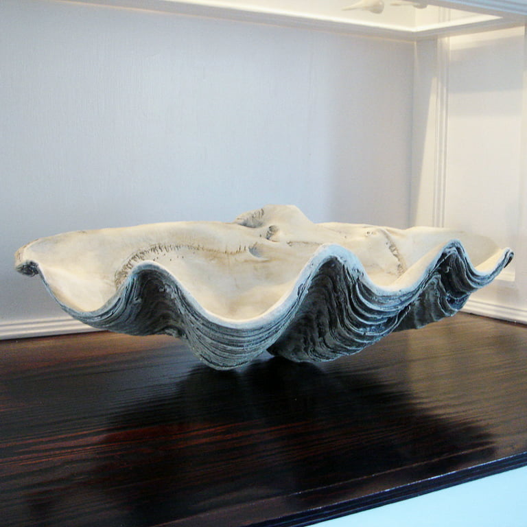 Bespoke Home - Giant Clam Shell