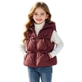 thumbnail image 5 of Besolor Toddler Kids Girls Clothes Puffer Vests Fall Winter Fleece Lined Thicken Warm Sleeveless Zipper Hoodies down Jackets with Pocket(18-24 Months,Wine), 5 of 7