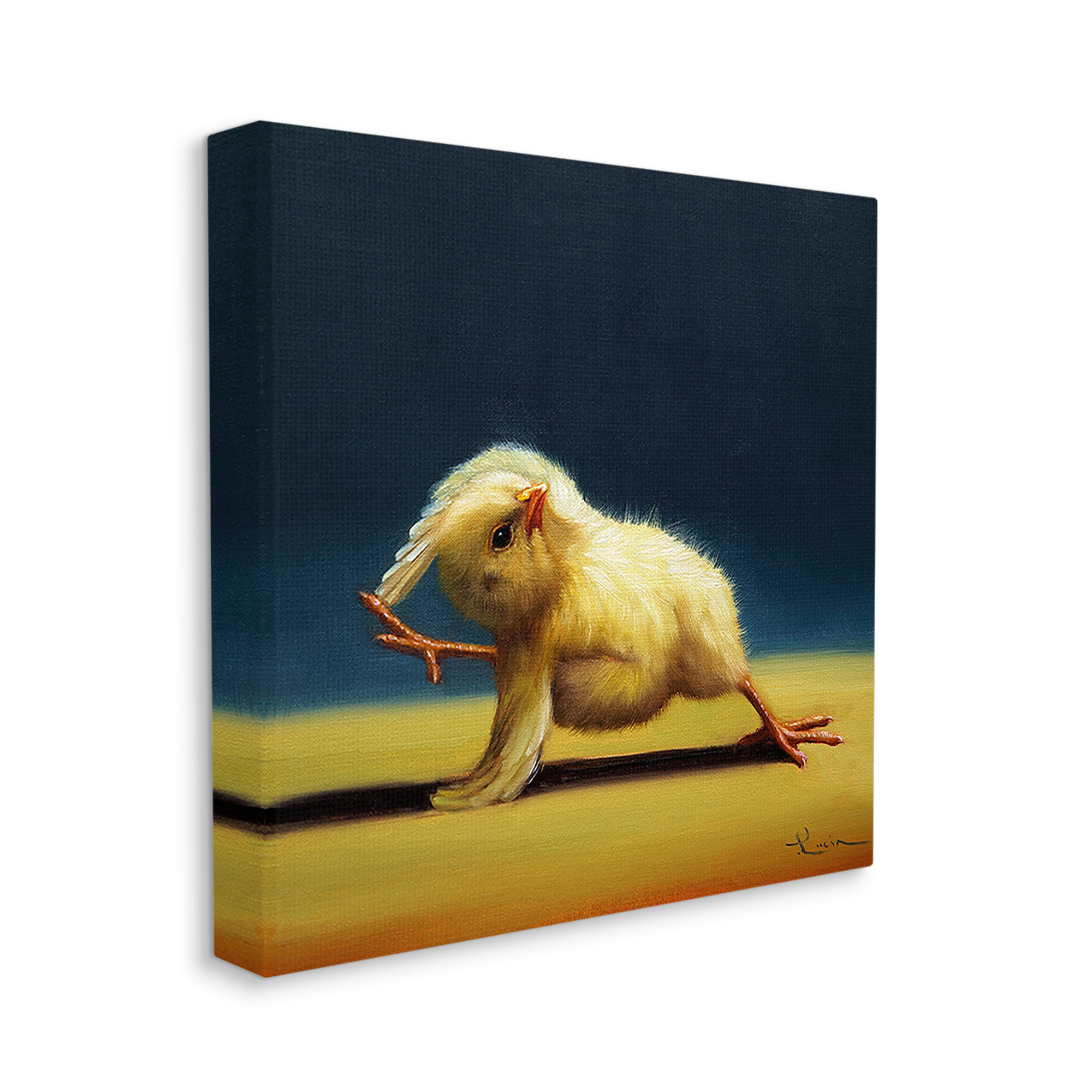 Stupell Industries Yoga Chicks Side Angle Pose Funny Animal Painting,24 x 24,Design by Lucia Heffernan