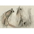 thumbnail image 2 of PHBurchett 18x13 Black Ornate Wood Framed with Double Matting Museum Art Print Titled - Cow Pony, 2 of 4