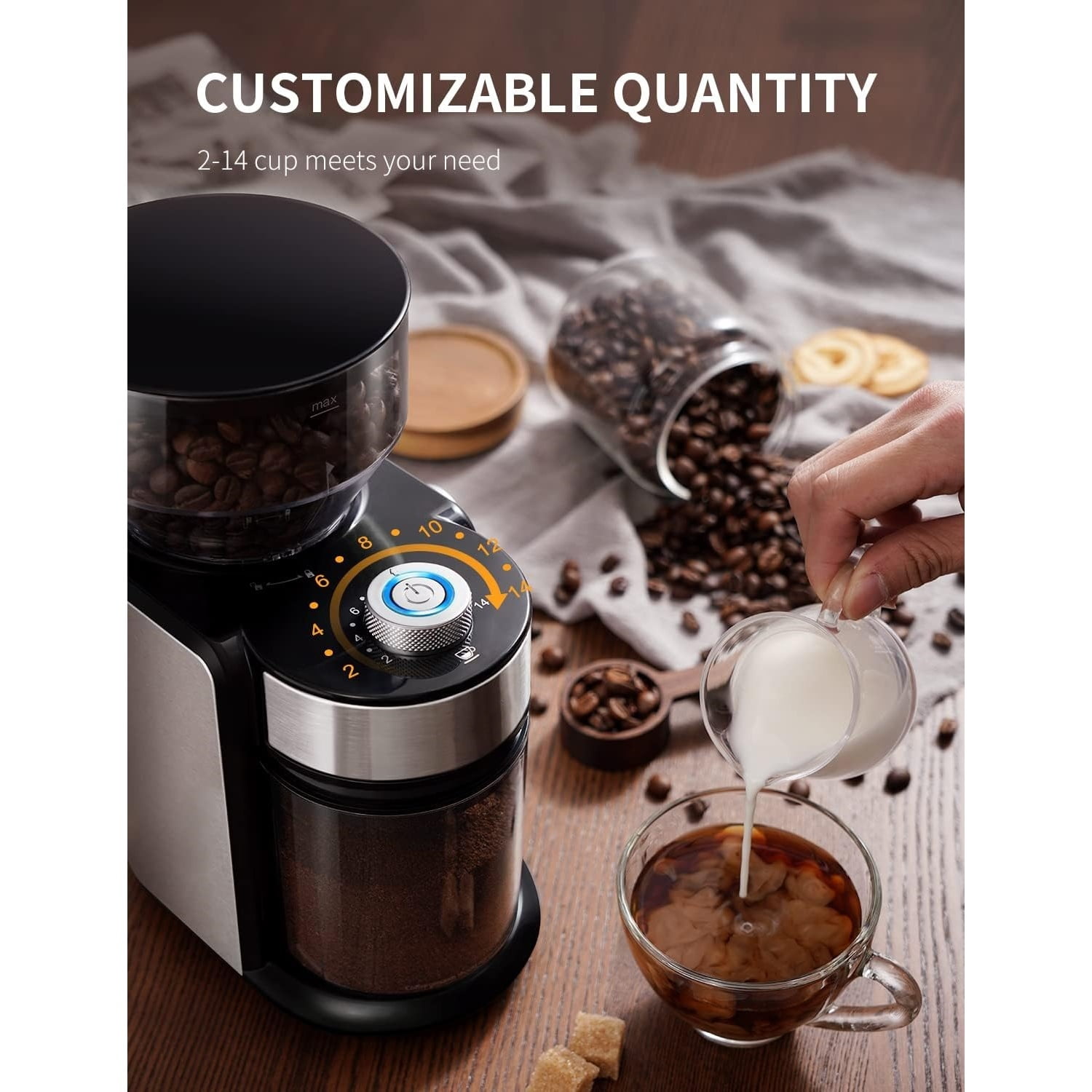 Burr Coffee Bean Grinder Electric, Adjustable Burr Mill with 16 Precise Grind Setting for 2-14 Cup, Silver