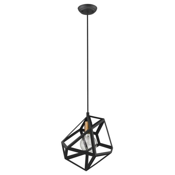 Trend Lighting TP30080BK 13.25 in. Hedron 1-Light Matte Black Pendant