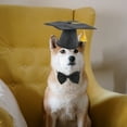 thumbnail image 4 of BRIGHTFUFU 1 juego de prendas para perros con temas de graduación., 4 of 7