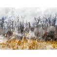 thumbnail image 2 of Young, Chamira 32x25 Gold Ornate Wood Framed with Double Matting Museum Art Print Titled - Branches in the Sky, 2 of 4