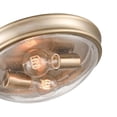 thumbnail image 4 of 5228-BN Millennium Lighting Belforge - 2 Light Glass Flush Mount-5 Inch Tall and 12 Inch Wide-Brushed Nickel Finish, 4 of 4