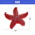 thumbnail image 4 of Vocoste 1 Pc Colorful Coral Reef Decor Mini Faux Coral Decor for Aquarium Decorations Red 4.3x4.3cm, 4 of 7