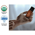 thumbnail image 4 of Aceite Esencial de Incienso OLEUM VITAE 100% Puro y Orgánico 15ml, 4 of 5