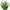 White, variant on Zukuco 4 Bundles Outdoor Artificial Tulips Fake Flowers UV Resistant Faux Plastic Greenery Shrubs Plants for Home Outside Garden Porch Window Farmhouse Decor, Orange