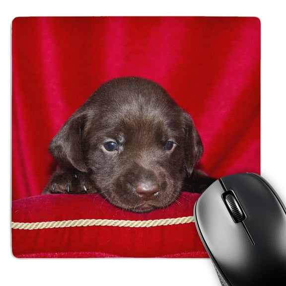 3dRose, A Chocolate Labrador Retriever puppy dog - NA02 ZMU0180 - Zandria Muench Beraldo, MousePad