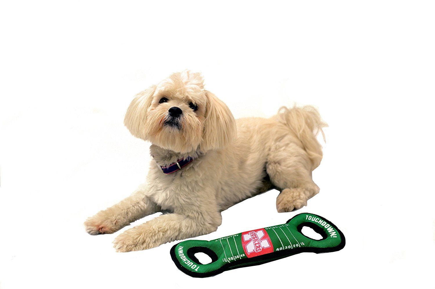 Pets First Collegiate Nebraska State Field Toy-Licensed