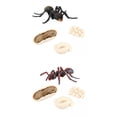 thumbnail image 1 of 2 s de plástico naturaleza hormigas modelo de crecimiento de juguetes de aprendizaje de educación, 1 of 9