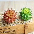 thumbnail image 2 of Artificial Succulents - 1 Pack - Premium Unpotted Succulent Plants Artificial - Realistic Textured Succulents - Fake Succulent Plants for DIY - Faux Cactus Plant Bulk - Succulent Plants, 2 of 7