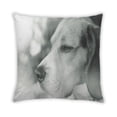 thumbnail image 2 of Ahgly Company Dogs Beagle Coussin Extérieur, 18 Pouces par 18 Pouces, 2 of 6